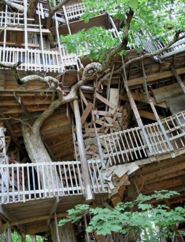 tallest_treehouse_20 tallest_treehouse_20